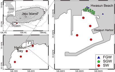 Origin of dissolved organic carbon under phosphorus-limited coastal-bay conditions revealed by fluorescent dissolved organic matter